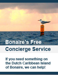 Bonaire's Free Concierge Service