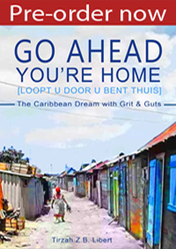 Go Ahead. You're Home - Pre-Order